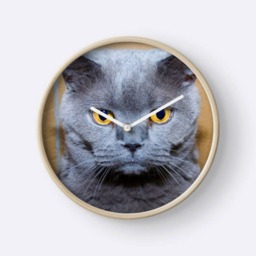 Grumpy British Blue Cat Wall Clock