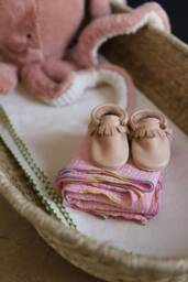 Organic Cotton Sheet