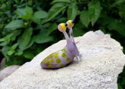 Slug Figurine, Blown Glass Slug, Art Slug, Collection, Glass Miniature, Spotted Sculpture, Insect, Lampwork