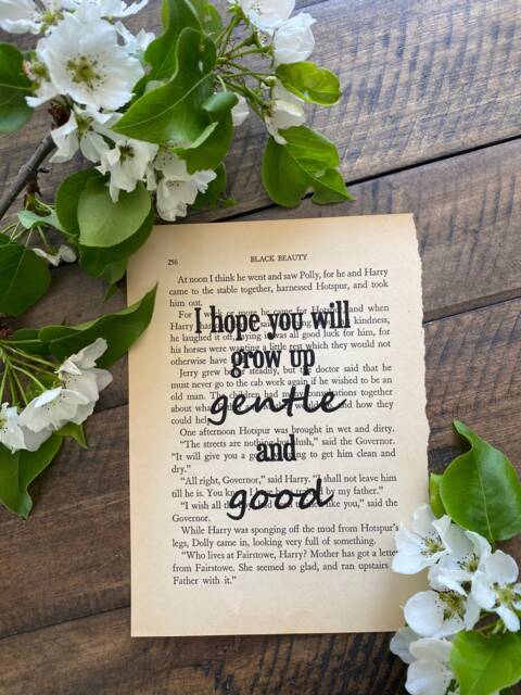Black Beauty Upcycled Book Quote I Hope You Will Grow Up Gentle & Good - image 1