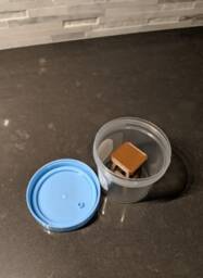 stool Sample -- Funny Prank Gift Idea - thumbnail 4