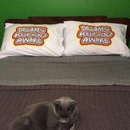 Pillowcase - Dreams Keep You Awake - thumbnail 4