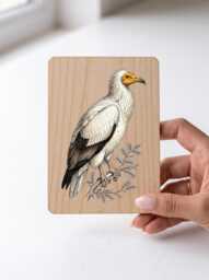 Egyptian Vulture Art Print - Vintage White Bird Of Prey Pine Wooden Postcard Wall - thumbnail 1