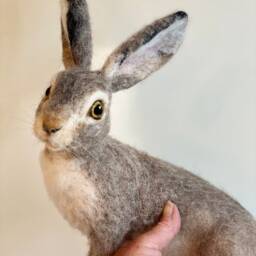 Lifesize Hare/Large Hare Sculpture/Jack Rabbit/Needle Felted Hare/Needle Jack Rabbit/Jack Rabbit Figure/Hare Doll/Hare Figure - thumbnail 2