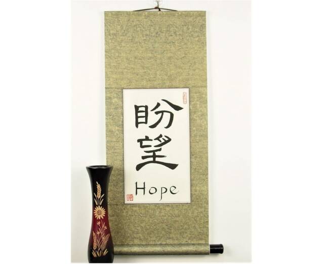Hope in Chinese Characters/Decoration With Symbols Calligraphy Wall Scroll Custom Hand Made Red Gold - image 1