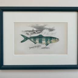 Hand Painted Bevelled Picture Frame - Custom Farrow & Ball Colors - thumbnail 2