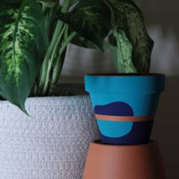 Hand Painted Terracotta Plant Pot Customizable Colors, Drainage Hole