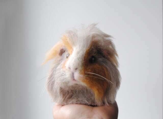 Needle Felted Guinea Pig, Custom Made Felt Pet Sculpture, Handmade Animal, Portrait - image 1