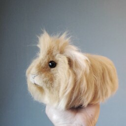 Needle Felted Guinea Pig, Custom Made Felt Pet Sculpture, Handmade Animal, Portrait - thumbnail 2