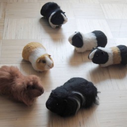 Needle Felted Guinea Pig, Custom Made Felt Pet Sculpture, Handmade Animal, Portrait - thumbnail 4