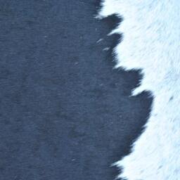 Cowhide Rug - Large, Black & White Shiney Cow Hide Hair On Carpet Skin Animal That Would Make Any Room More Luxurious & Stylish - thumbnail 3