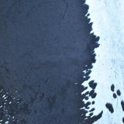 Cowhide Rug - Large, Black & White Shiney Cow Hide Hair On Carpet Skin Animal That Would Make Any Room More Luxurious & Stylish - thumbnail 2