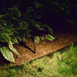 Luna Edge Shade Solar?? Solar Light Provides Dusk To Dawn Illumination in Shade Or Sun - thumbnail 2