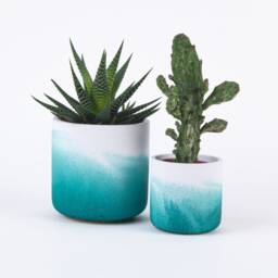 Teal Fade Pot - thumbnail 3
