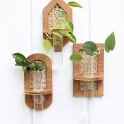 Rattan Propagation Wall Hanging - Boho Hydro Planter Geometric Station Test Tube - thumbnail 2