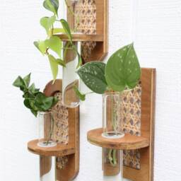 Rattan Propagation Wall Hanging - Boho Hydro Planter Geometric Station Test Tube - thumbnail 3