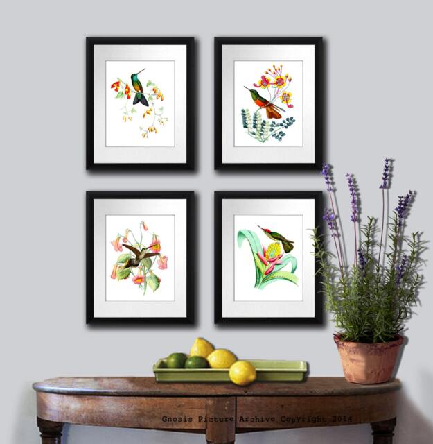 Hummingbirds Print Set Of 4 Unframed Etsy Wall Art Hummingbird Pictures - image 1