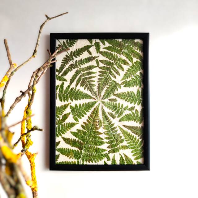 Pressed Fern Framed Wall Art Decor Nature Lover Gift - image 1