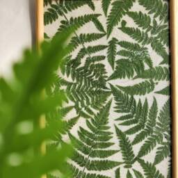 Pressed Fern Framed Wall Art Decor Nature Lover Gift - thumbnail 4