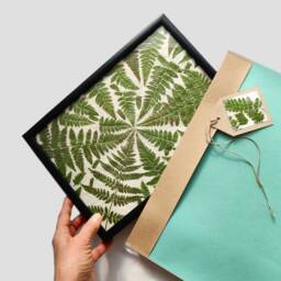 Pressed Fern Framed Wall Art Decor Nature Lover Gift - thumbnail 2