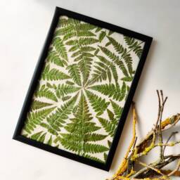 Pressed Fern Framed Wall Art Decor Nature Lover Gift - thumbnail 3