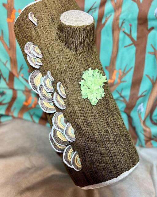 Your Very Own Log With Turkey Tail & Lichen - image 1