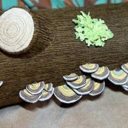 Your Very Own Log With Turkey Tail & Lichen - thumbnail 2