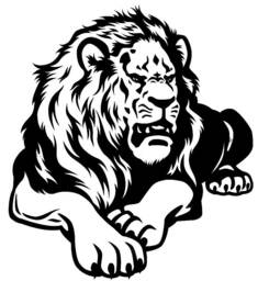 Lion Wall Art Decal Sign Car Van Bonnet Side Sticker Tribal Head Vinyl Graphic Motorhome Campervan Wild Animal Safari