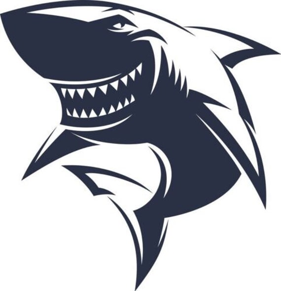 Shark Decal Sticker Wall Art Car Van Bonnet Vinyl Side Hood Graphic Window Sign Motorhome Campervan