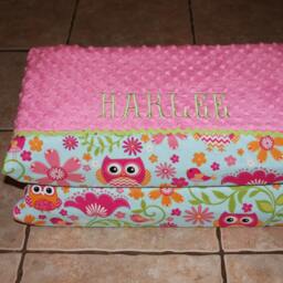 Custom Appliqued Owl Nap Mat Cover, Blanket, Pillow & Case - thumbnail 4