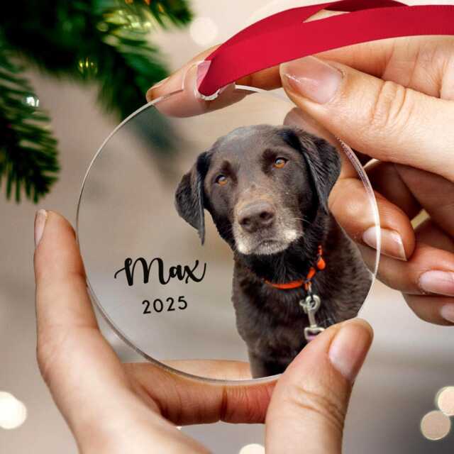 Personalized Pet Photo Ornament Using Pet's + Name - Custom Christmas Dog Cat - image 1