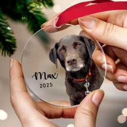 Personalized Pet Photo Ornament Using Pet's + Name - Custom Christmas Dog Cat - thumbnail 1