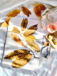Original Watercolour Artwork - Wall Hanging Painting Art Handmade Handcraft Decor Home Living Fall Autumn Maple Leaves Handdrawn Craft - thumbnail 1