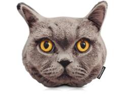 Cat Face Cushion - Approx 30cm