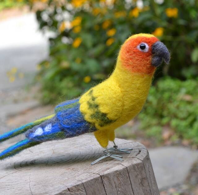 Mr. Sun Conure, Needle Felted Bird Fiber Art - image 1