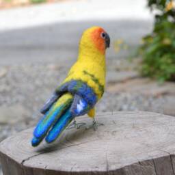 Mr. Sun Conure, Needle Felted Bird Fiber Art - thumbnail 3