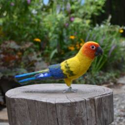 Mr. Sun Conure, Needle Felted Bird Fiber Art - thumbnail 2