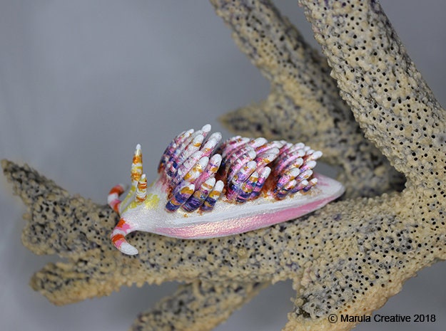 Diva The Nudibranch - Godiva Rachelae - image 1