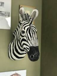 Paper Mache Zebra Head Faux Taxidermy Wall Decor - thumbnail 1