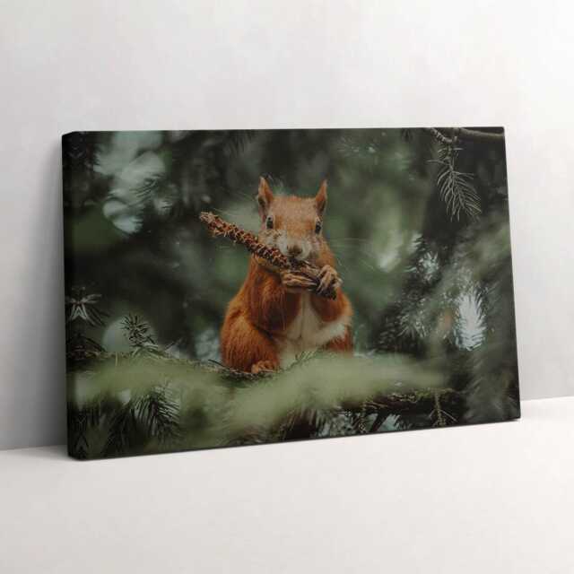 Squirrel Wild Nature Canvas, Wall Art Picture, Green Decoration, Animals Canvas - image 1