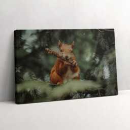 Squirrel Wild Nature Canvas, Wall Art Picture, Green Decoration, Animals Canvas - thumbnail 1