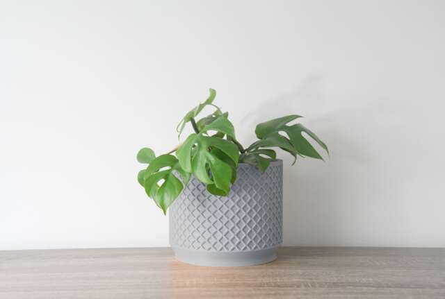 "Carolina Planter With Drainage & Saucer in Gray, Lattice 3D-Printed Plant Pot, Small To Large Sizes 4"" 5"" 6"" 7"" 8" - image 1