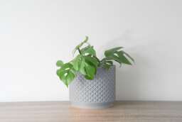 "Carolina Planter With Drainage & Saucer in Gray, Lattice 3D-Printed Plant Pot, Small To Large Sizes 4"" 5"" 6"" 7"" 8" - thumbnail 1