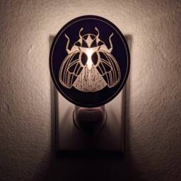 Beetle Bronze Mirror Acrylic Night Light