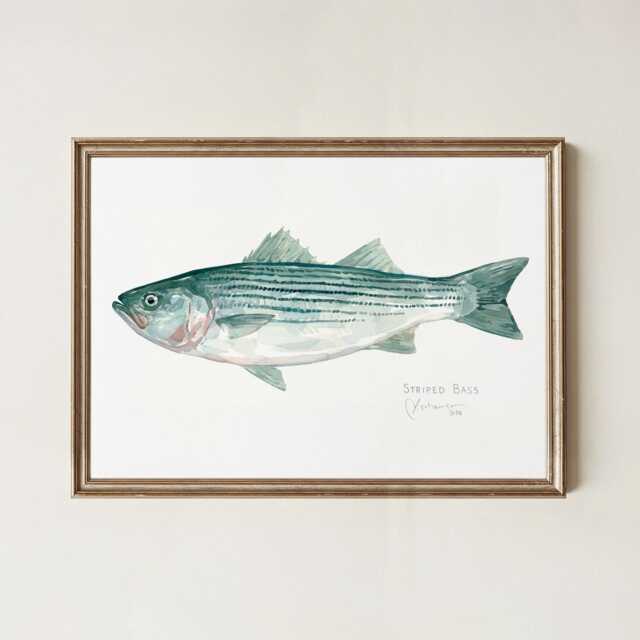 striped Bass Watercolor Print Coastal Wall Art Fish Painting - image 1