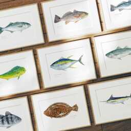 striped Bass Watercolor Print Coastal Wall Art Fish Painting - thumbnail 3