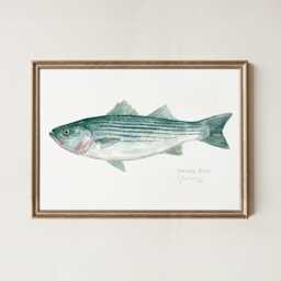 striped Bass Watercolor Print Coastal Wall Art Fish Painting - thumbnail 1