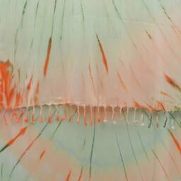 Turkish Towel, Dye Beach Towel, Turkish Peshtemal, 38''x65 - thumbnail 2