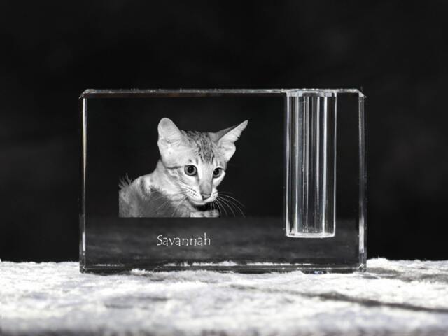 Savannah Cat , Crystal Pen Holder With Cat, Souvenir, Decoration, Limited Edition, Collection - image 1