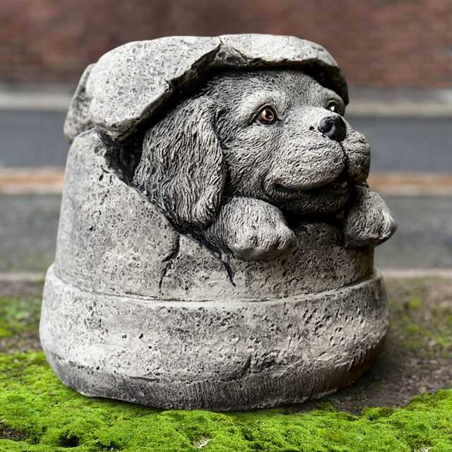 Funny Spaniel Under Bucket Statue Stone Cocker Garden Decor Playful Dog Sculpture Cement Figure Pet Figurine Dog Lover Gift - image 1